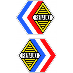 Renault flag kit