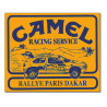 Camel Racing Service Citroën