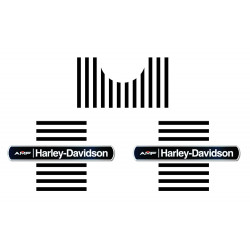 Kit for Harley Davison AMF...