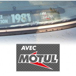 Decal With Motul BMW rear...