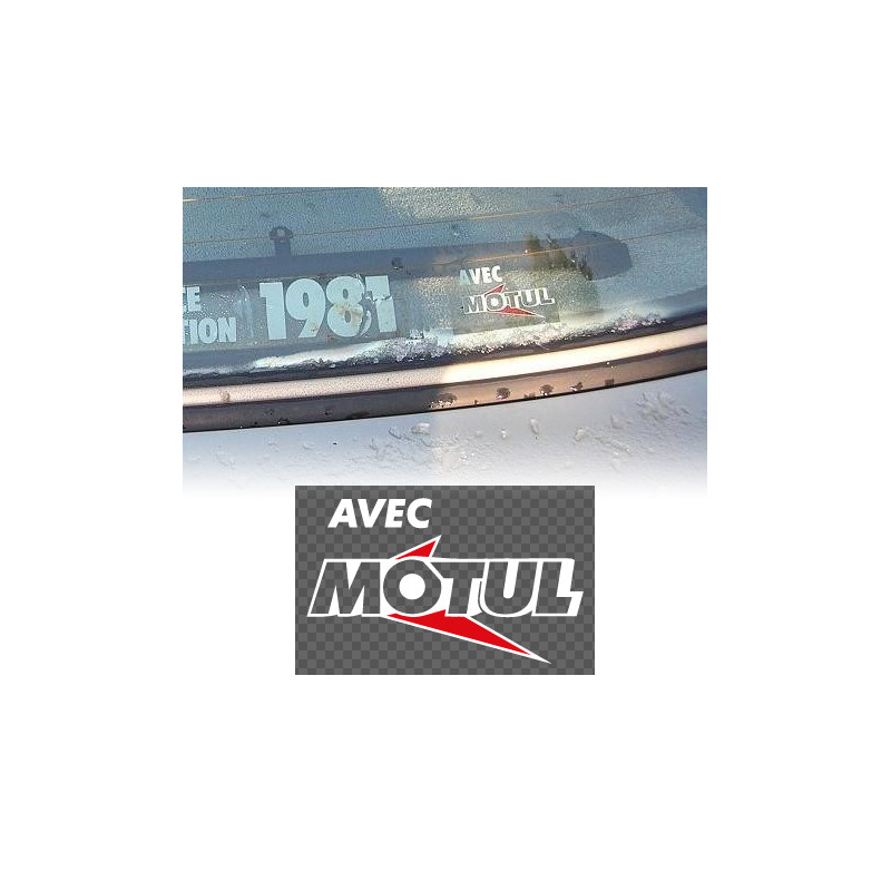 Decal With Motul BMW rear window